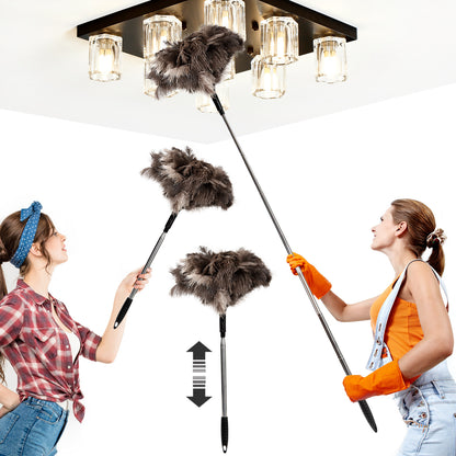 2M Telescopic Ostrich Feather Duster
