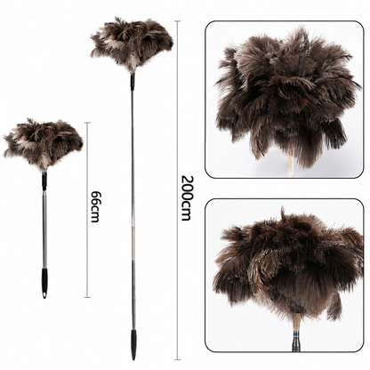 2M Telescopic Ostrich Feather Duster